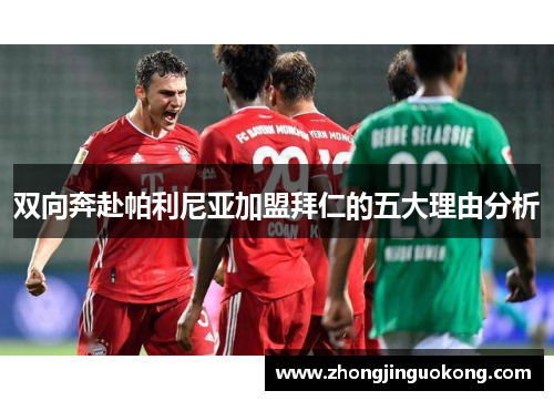 双向奔赴帕利尼亚加盟拜仁的五大理由分析